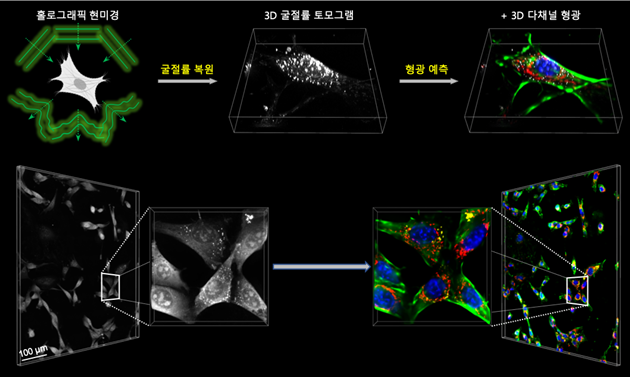 연구팀이 개발한 인공지능 현미경 개요와 예시