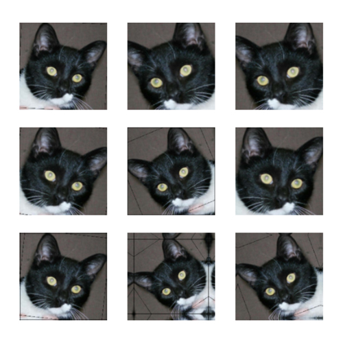 그림 5. 데이터 증식된 훈련 이미지 일부 예