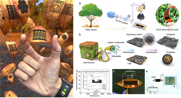 (a)극초단 펨토초 UV 레이저 직접묘화 기반 공기 중 낙엽 상 그래핀 전극 생성 과정, (b)레이저 조사 영역의 낙엽 재료 탄화 및 그래핀화를 통한 박리 과정, (c)굽힘에서의 낙엽 기반 슈퍼커패시터 정전용량 유지 테스트, (d/e) 슈퍼커패시터 응용 예시 [사진=KAIST]