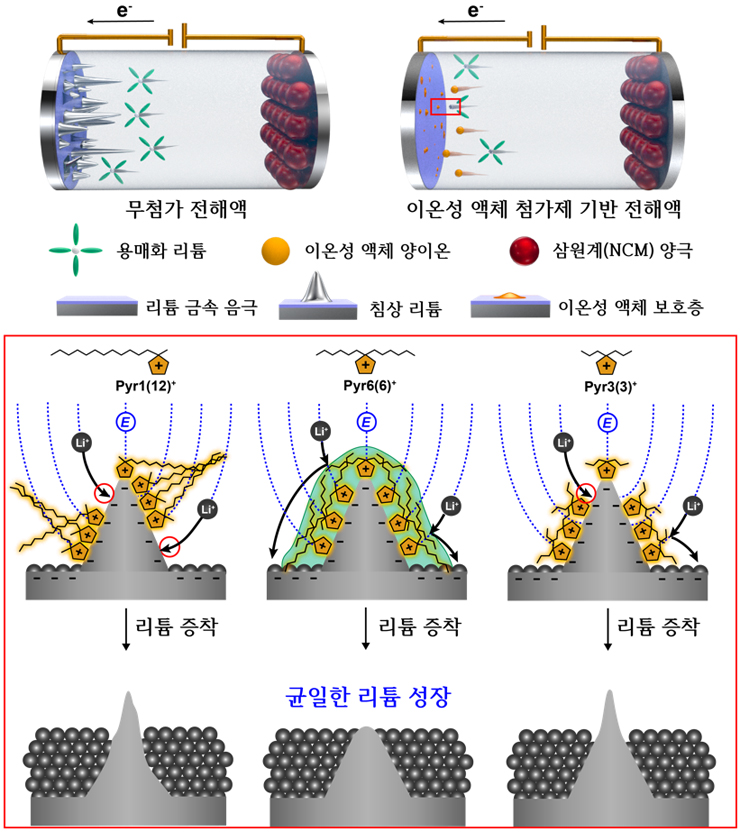 국내 연구진, 장수명 리튬 금속 배터리 구현기술 개발