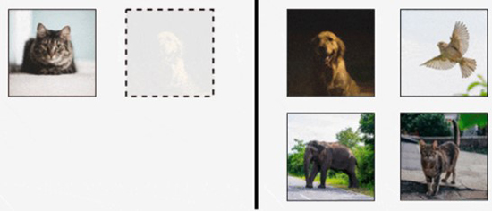 그림 1. 같은 동물 맞추기