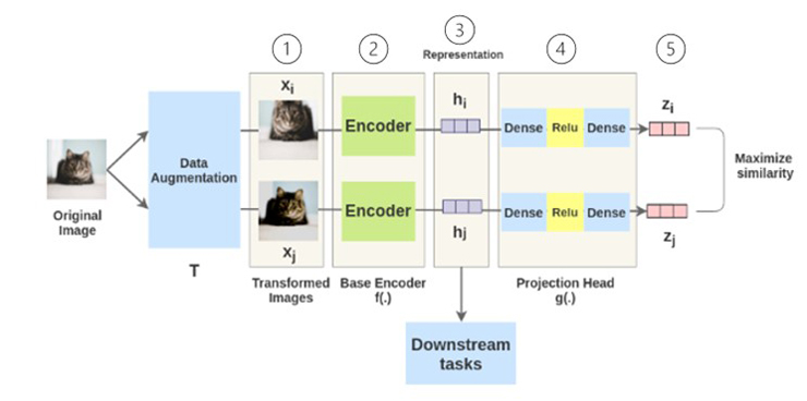 그림 5. SimCLR 프레임워크