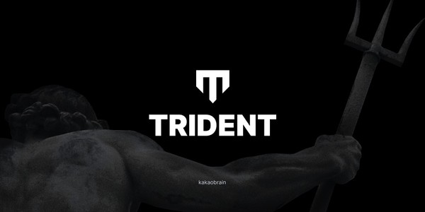 카카오브레인이 AI 모델 개발을 가속화하는 성능 라이브러리인 '트라이던트'를 깃허브에 공개했다. [사진=카카오브레인]