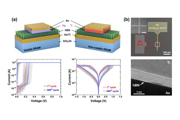 2차원 물질 기반 휘발성 및 비휘발성 메모리 소자, (a) 2차원 물질 기반 휘발성 및 비휘발성 메모리 소자의 개략도 (상단) 및 제작한 소자의 전기적 특성 측정 결과 (하단) (b) 제작한 소자의 전자현미경 (상단) 및 투과전자현미경 사진 (하단) [사진=KIST]
