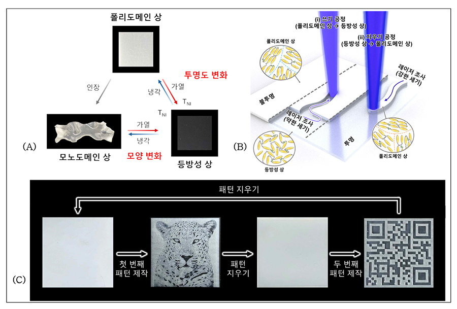 레이저를 활용한 액정탄성체의 위상 패턴 제작과정 [사진=한국연구재단]