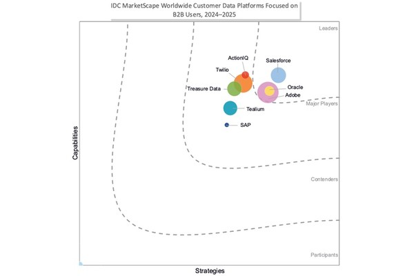 B2B CDP 부문 IDC 마켓스케이프 [사진=IDC]