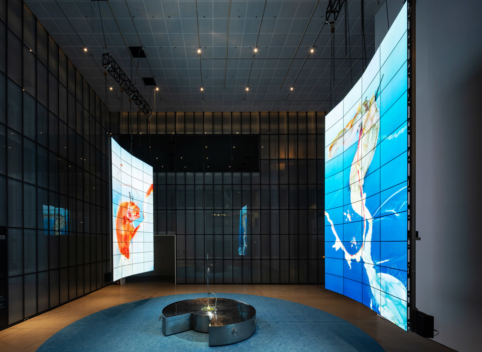 국립현대미술관 서울의 '서울박스'에 전시된 미디어 아티스트 추수의 대형 설치 미술 [사진=국립현대미술관]