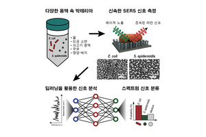 &quot;딥러닝(DL) 활용, 수십초 내 98% 정확도로 박테리아 검출 가능&quot; - 뉴스 썸네일 이미지