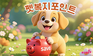 리드라이프, 반려인 혜택을 위한 '펫복지포인트' 카드디자인 선보여 - 뉴스 썸네일 이미지