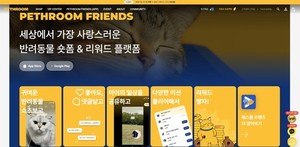 비엠스마일, 페스룸·위글위글 공식 홈페이지 리뉴얼 오픈...브랜드 경험... - 뉴스 썸네일 이미지